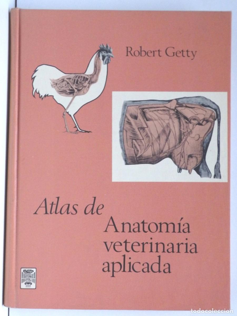 Libros de segunda mano: Robert GETTY, Atlas de Anatom&iacute;a veterinaria aplicada - Foto 1