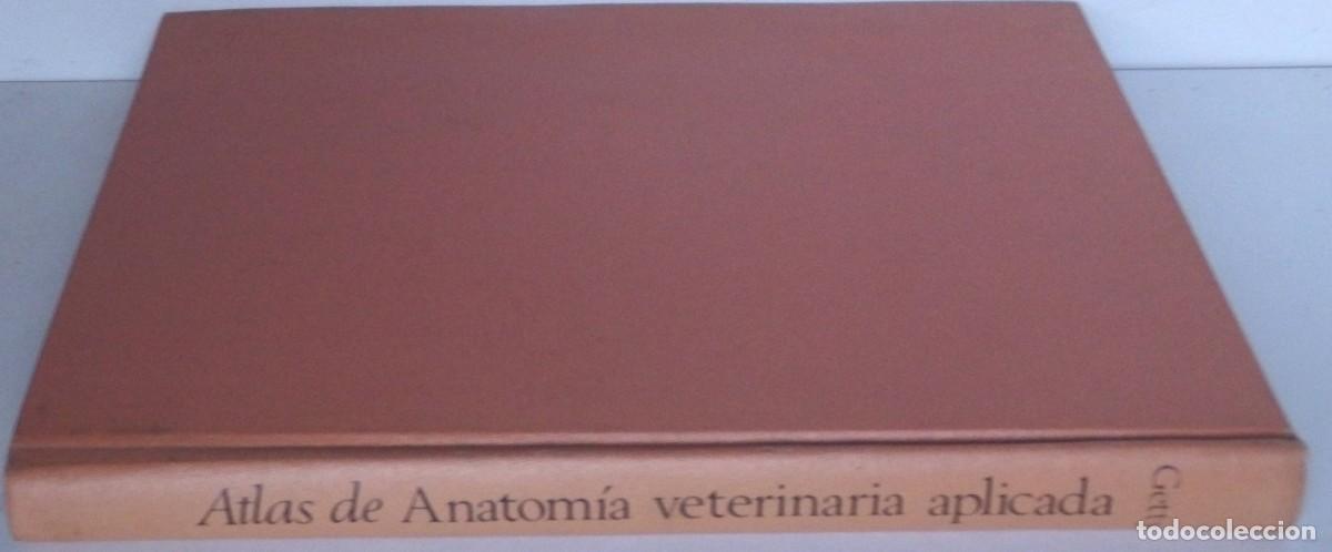 Libros de segunda mano: Robert GETTY, Atlas de Anatom&iacute;a veterinaria aplicada - Foto 5