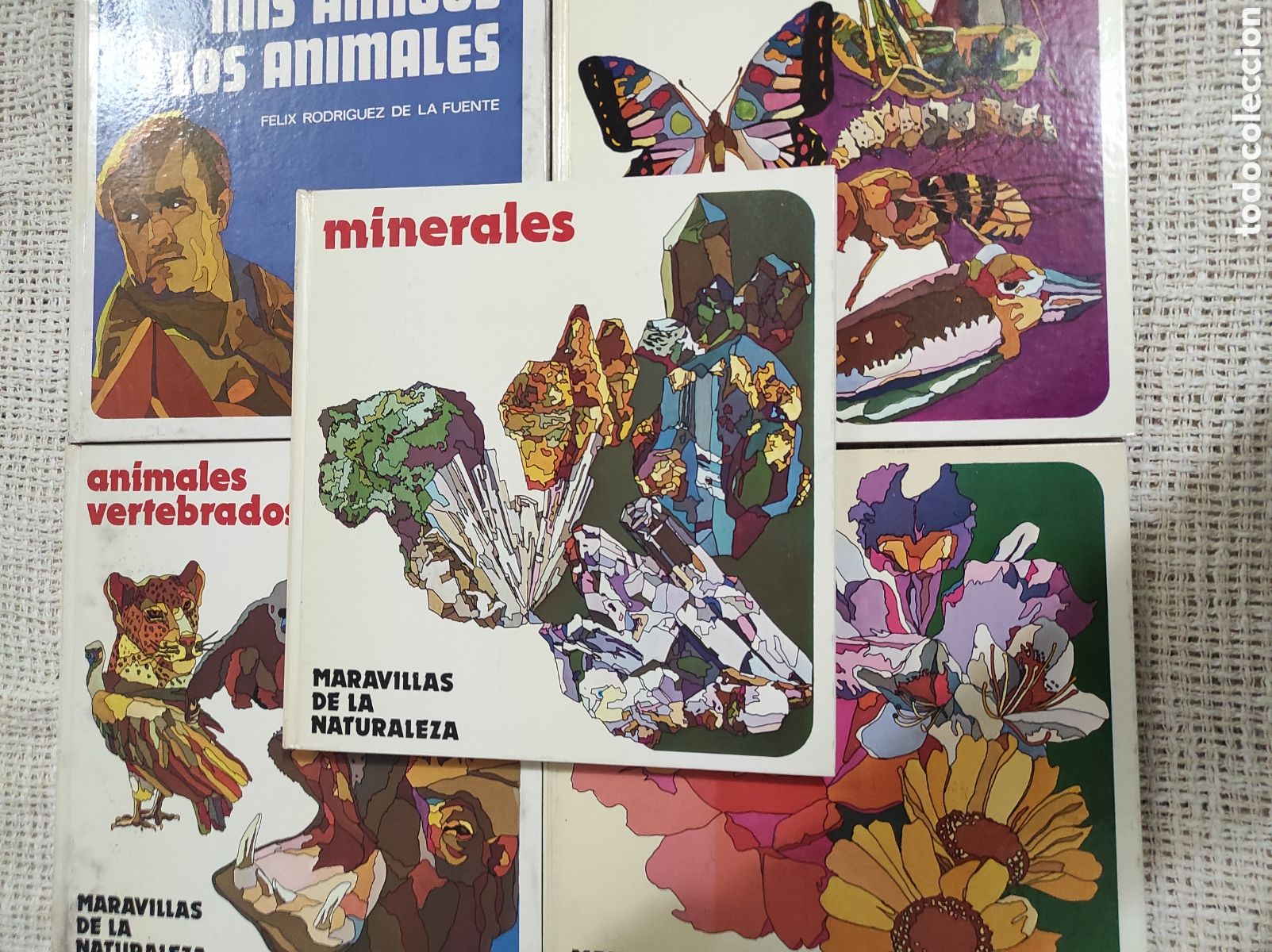 Libri di seconda mano: COLECCION DE SALVAT - MARAVILLAS DE LA NATURALEZA - LOTE DE 5 LIBROS EN ESTUCHE