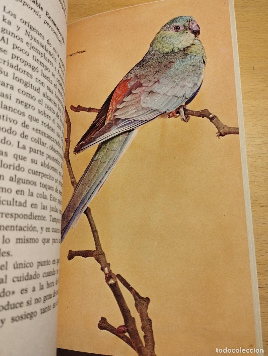 Libros de segunda mano: PERIQUITOS, LOROS Y PAPAGAYOS (ALICIA ROIG) - Foto 4