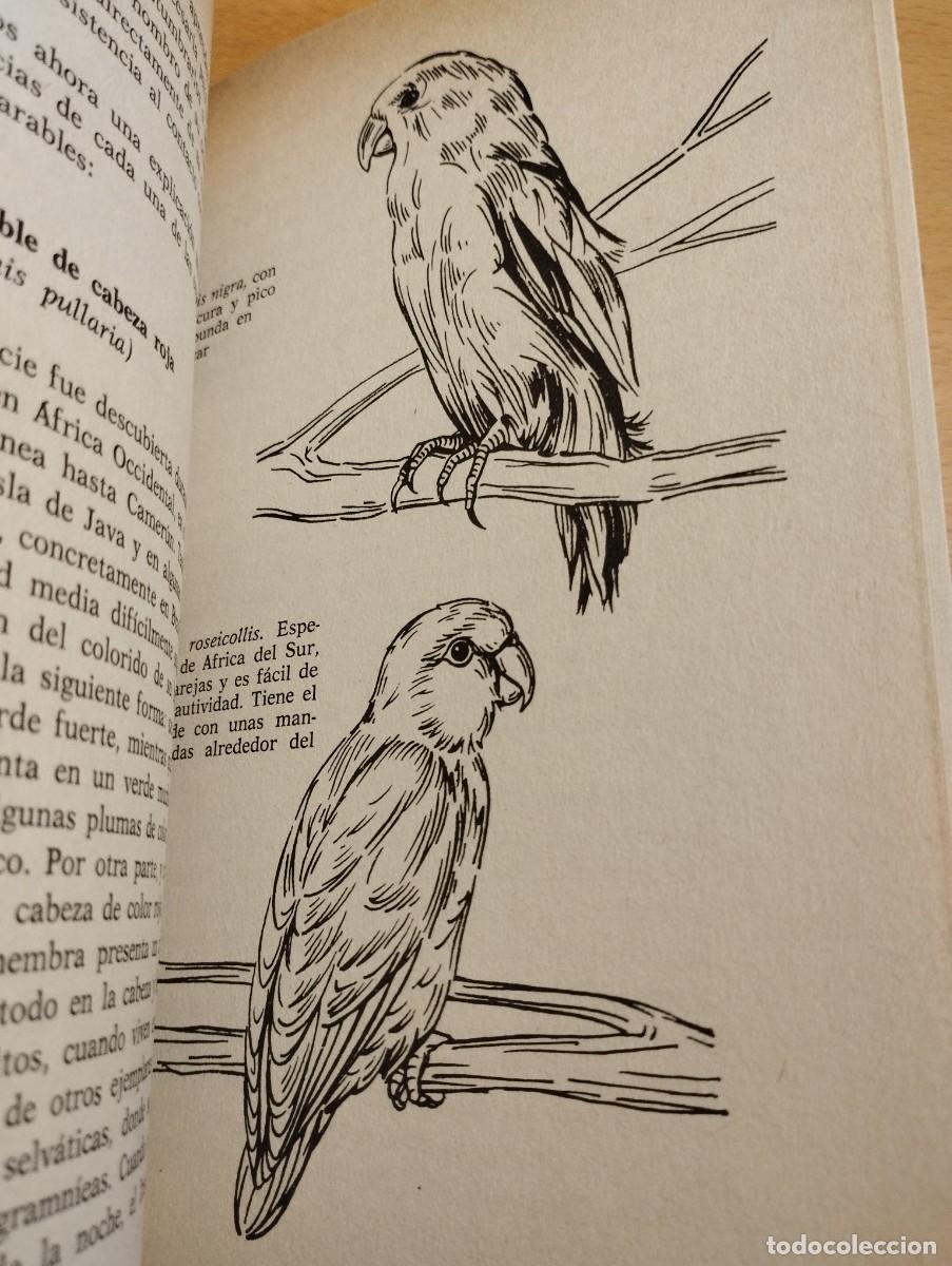 Libros de segunda mano: PERIQUITOS, LOROS Y PAPAGAYOS (ALICIA ROIG) - Foto 5