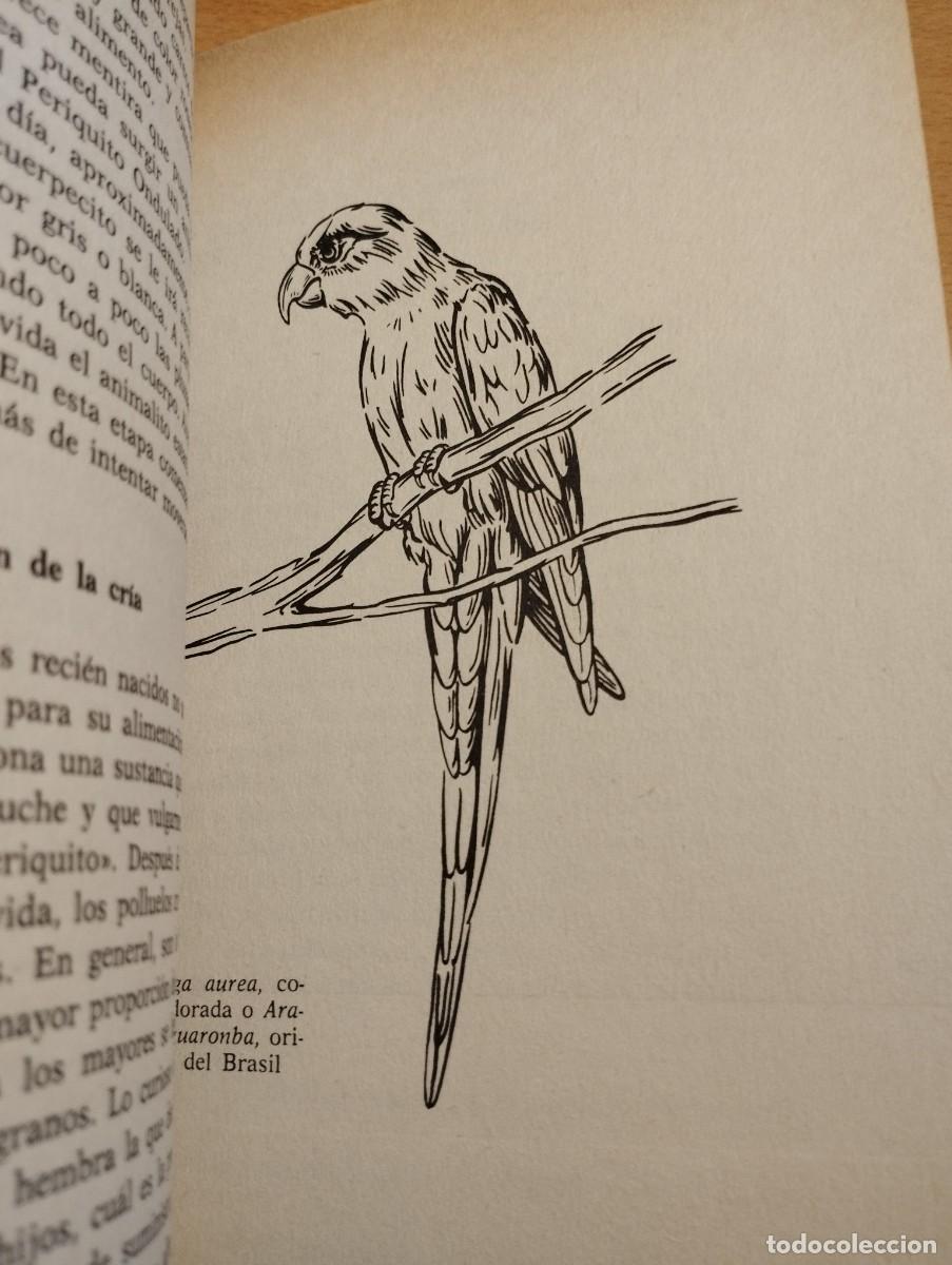 Libros de segunda mano: PERIQUITOS, LOROS Y PAPAGAYOS (ALICIA ROIG) - Foto 6