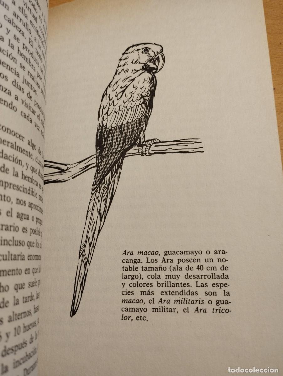 Libros de segunda mano: PERIQUITOS, LOROS Y PAPAGAYOS (ALICIA ROIG) - Foto 7
