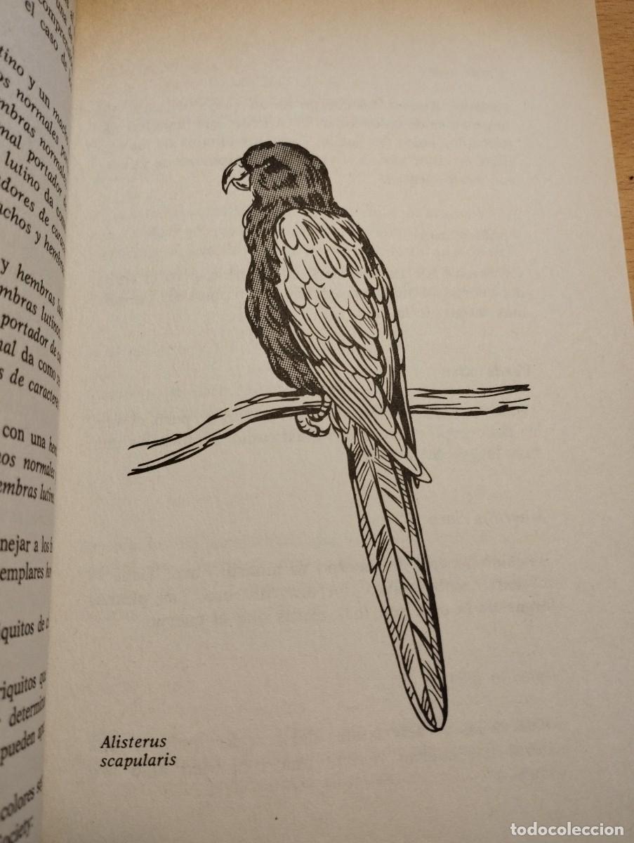 Libros de segunda mano: PERIQUITOS, LOROS Y PAPAGAYOS (ALICIA ROIG) - Foto 8