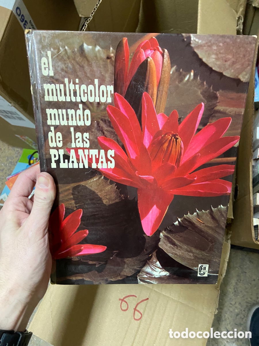 Libros de segunda mano: Caja66 el multicolor mundo de las plantas - Foto 1