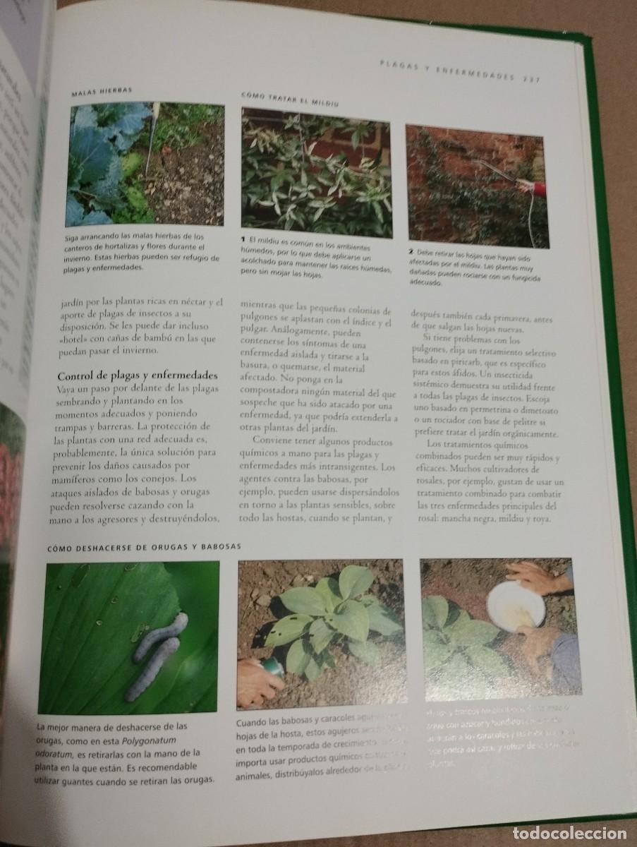 Libros de segunda mano: T&Eacute;CNICAS DE JARDINER&Iacute;A (JONATHAN EDWARDS) - Foto 5