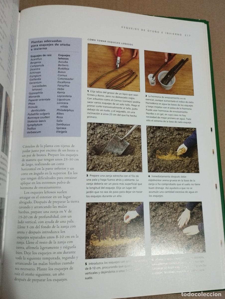 Libros de segunda mano: T&Eacute;CNICAS DE JARDINER&Iacute;A (JONATHAN EDWARDS) - Foto 6