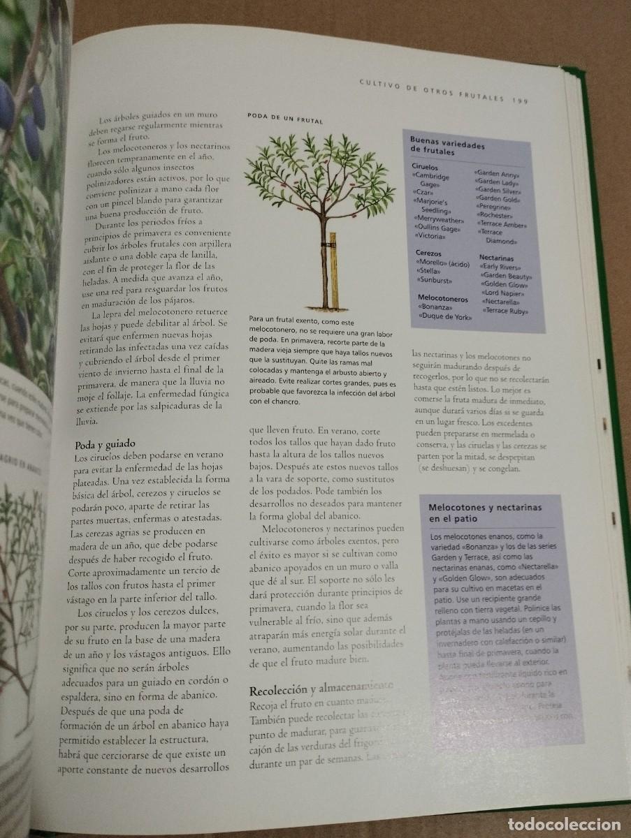 Libros de segunda mano: T&Eacute;CNICAS DE JARDINER&Iacute;A (JONATHAN EDWARDS) - Foto 7