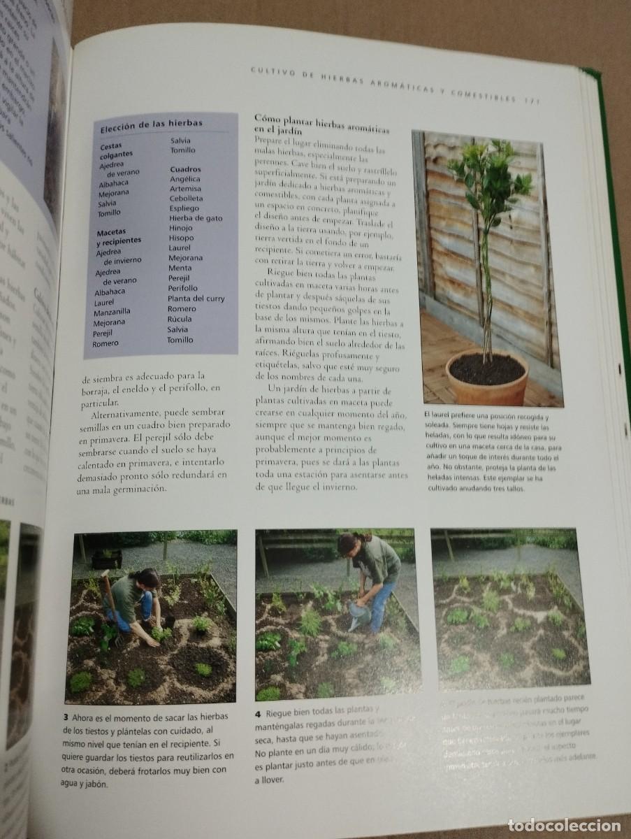 Libros de segunda mano: T&Eacute;CNICAS DE JARDINER&Iacute;A (JONATHAN EDWARDS) - Foto 8