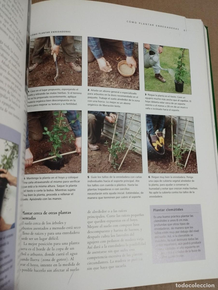 Libros de segunda mano: T&Eacute;CNICAS DE JARDINER&Iacute;A (JONATHAN EDWARDS) - Foto 12