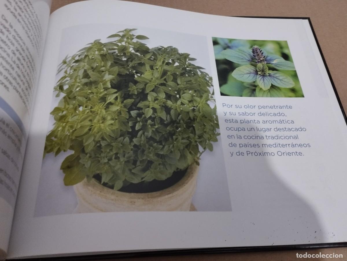 Libros de segunda mano: CONOCER NUESTRAS PLANTAS (LA CAIXA) - Foto 4