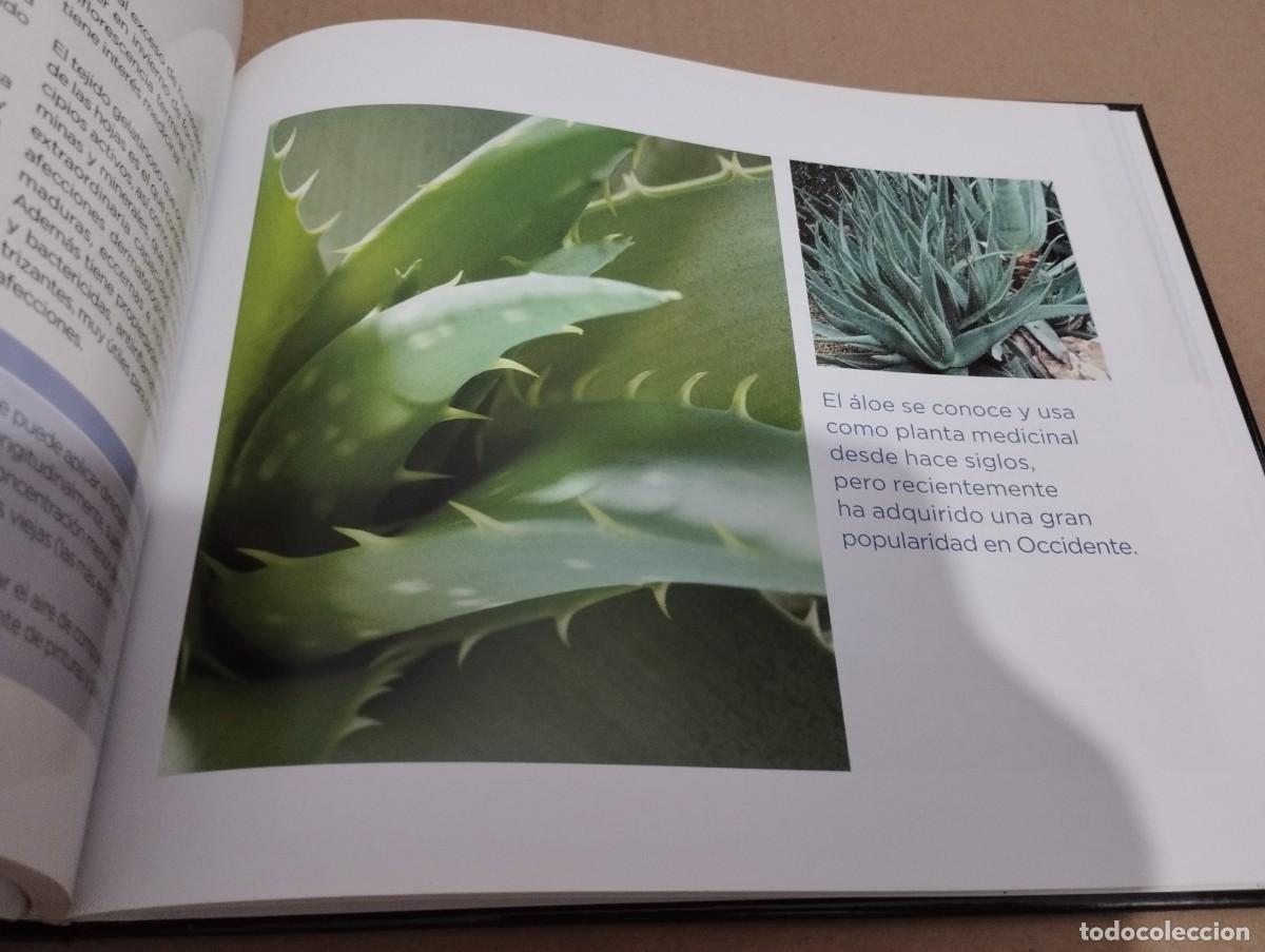 Libros de segunda mano: CONOCER NUESTRAS PLANTAS (LA CAIXA) - Foto 5
