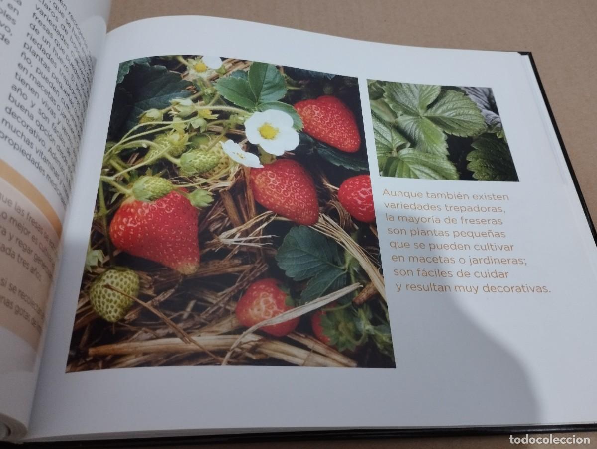 Libros de segunda mano: CONOCER NUESTRAS PLANTAS (LA CAIXA) - Foto 6