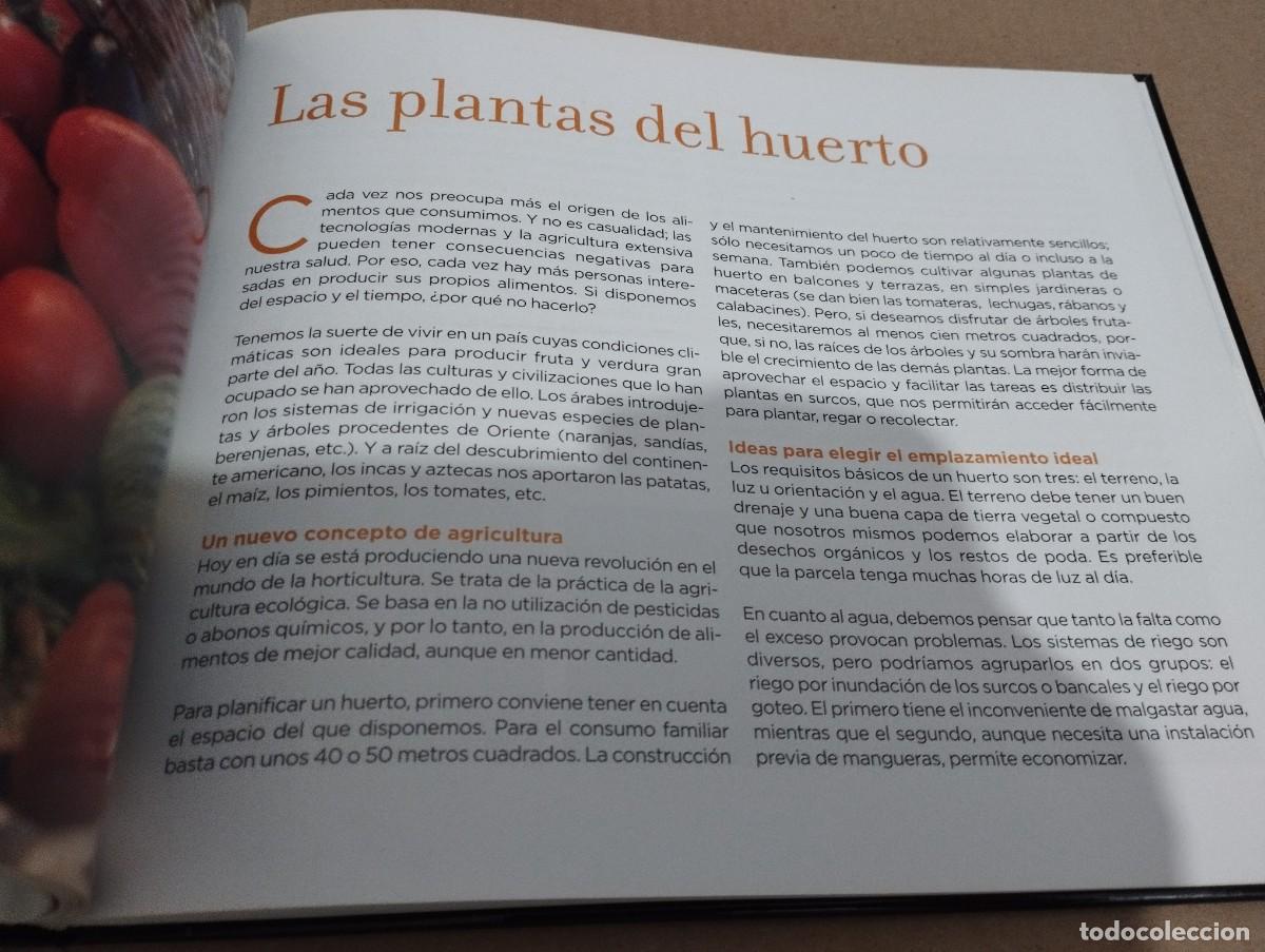 Libros de segunda mano: CONOCER NUESTRAS PLANTAS (LA CAIXA) - Foto 7