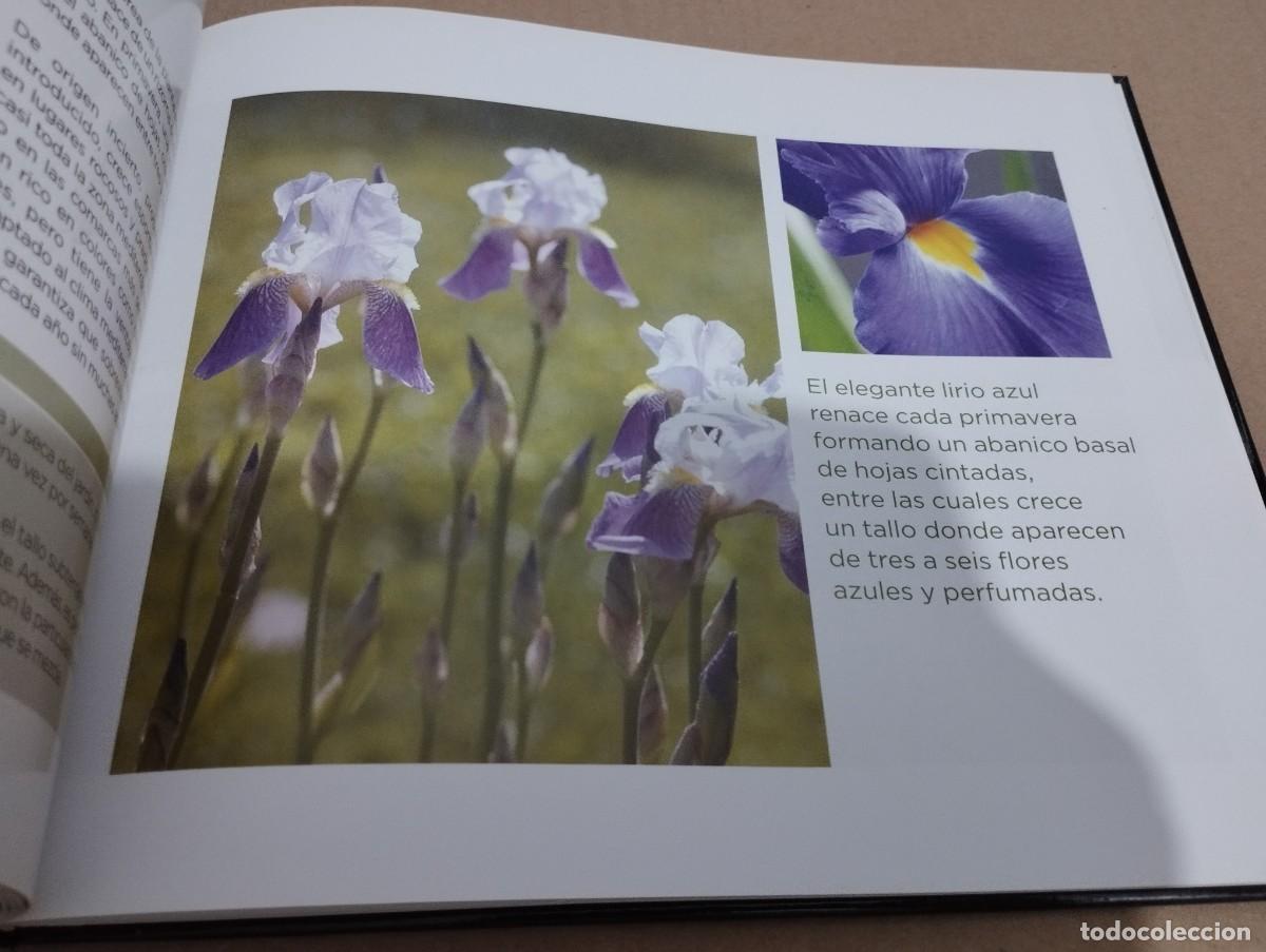 Libros de segunda mano: CONOCER NUESTRAS PLANTAS (LA CAIXA) - Foto 8