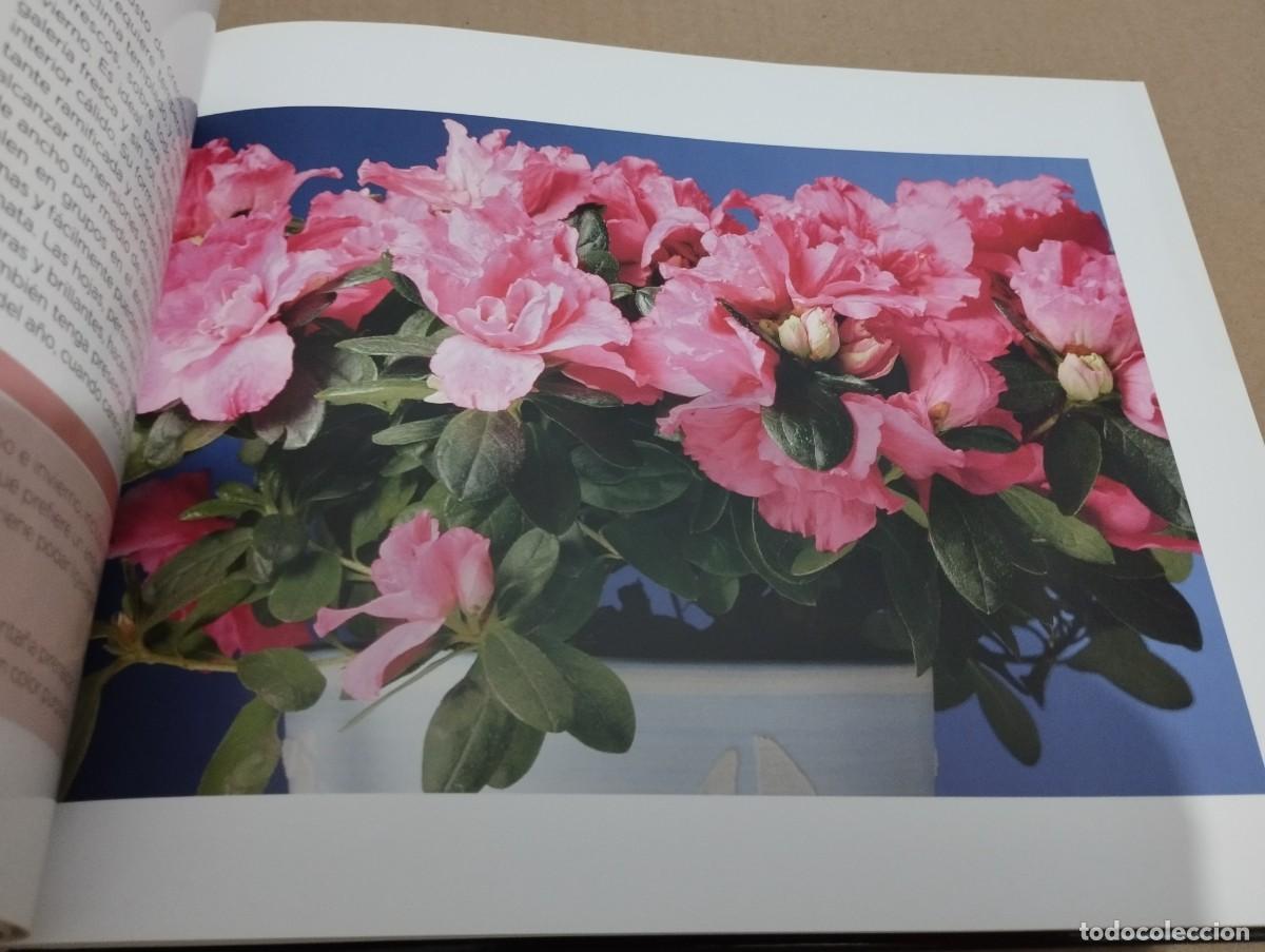 Libros de segunda mano: CONOCER NUESTRAS PLANTAS (LA CAIXA) - Foto 11