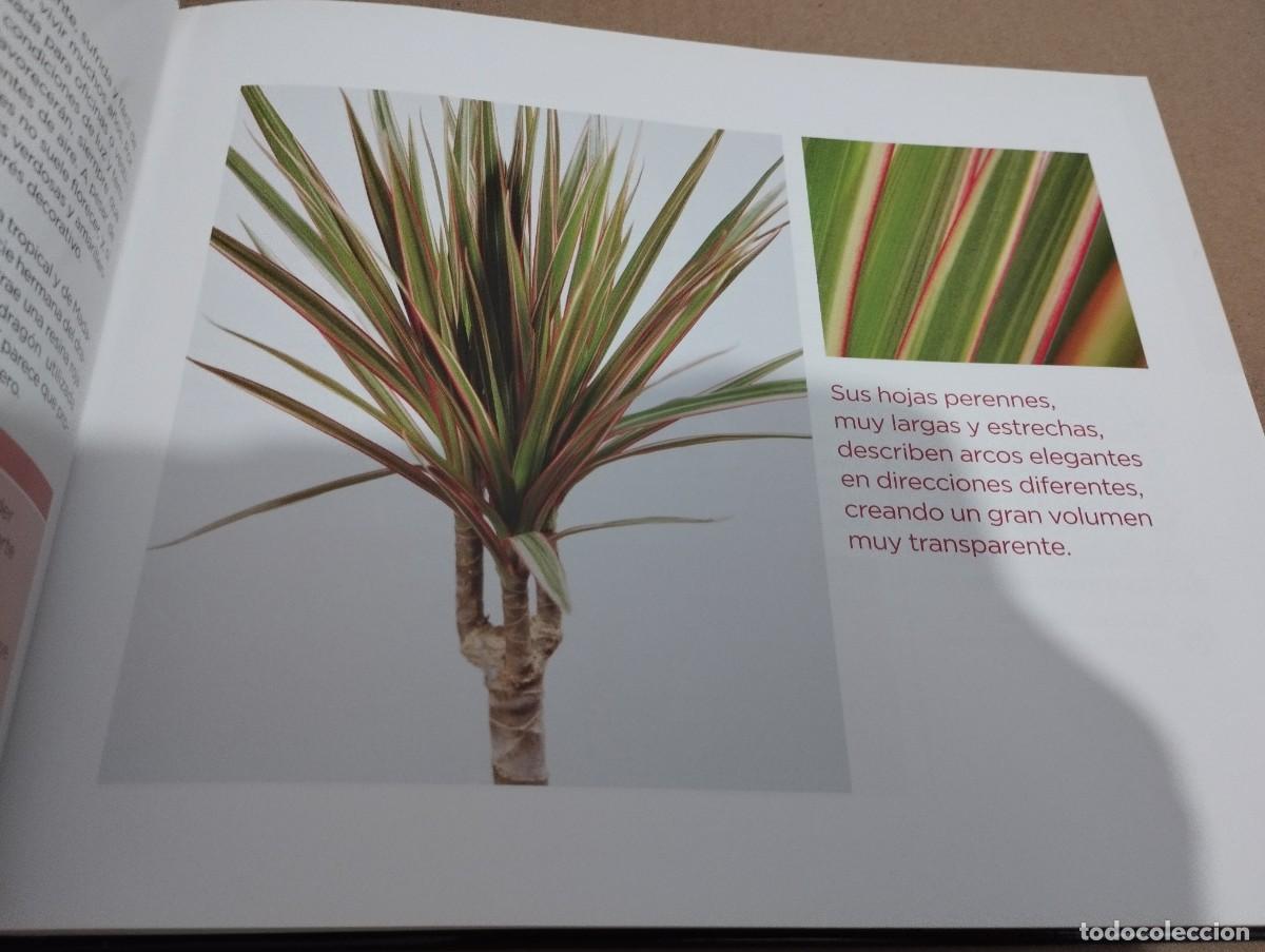 Libros de segunda mano: CONOCER NUESTRAS PLANTAS (LA CAIXA) - Foto 13