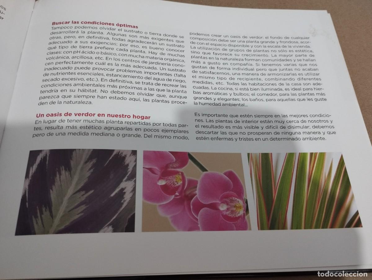 Libros de segunda mano: CONOCER NUESTRAS PLANTAS (LA CAIXA) - Foto 14