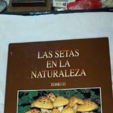 Libros de segunda mano: LAS SETAS EN LA NATURALEZA TOMO II.RAMON MENDAZA RINCON DE ACUÑA.IBERDROLA 1996. Lote 389245514