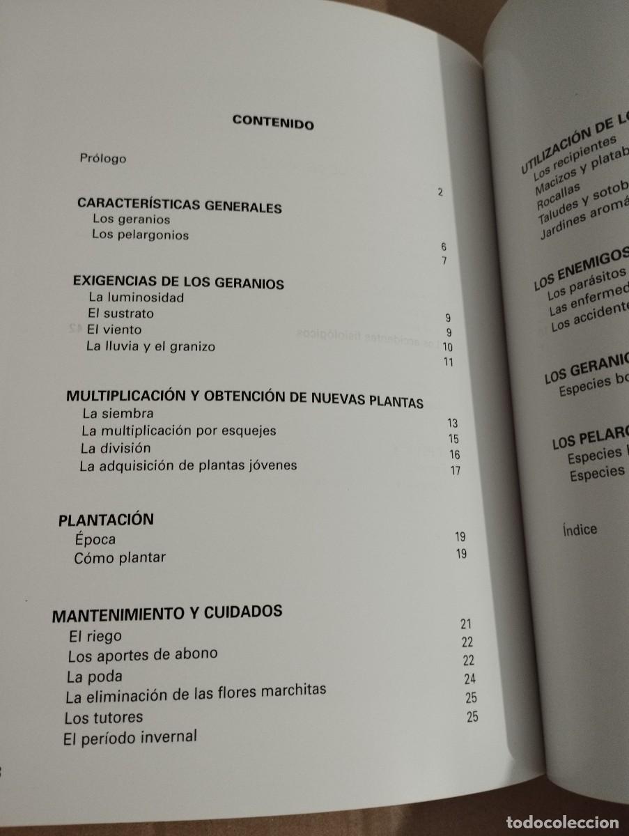 Libros de segunda mano: LOS GERANIOS (PIERRE NESSMANN) SUSAETA - Foto 3