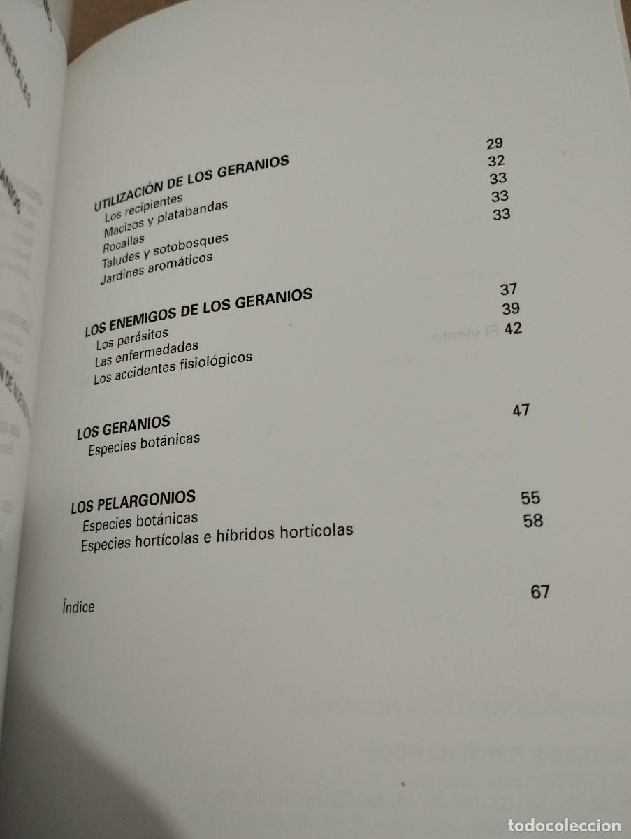 Libros de segunda mano: LOS GERANIOS (PIERRE NESSMANN) SUSAETA - Foto 4