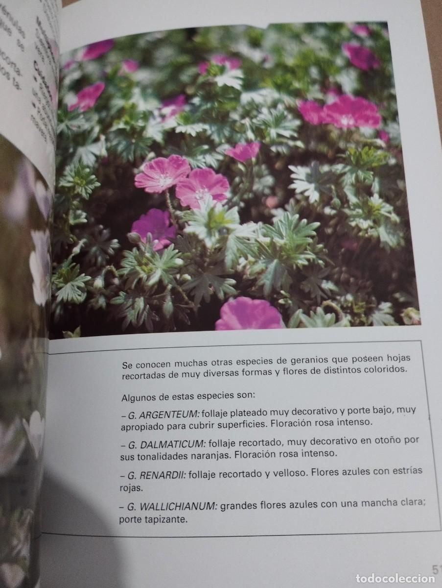 Libros de segunda mano: LOS GERANIOS (PIERRE NESSMANN) SUSAETA - Foto 6
