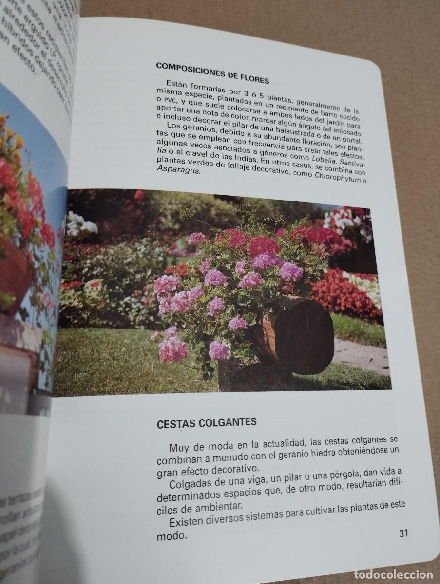 Libros de segunda mano: LOS GERANIOS (PIERRE NESSMANN) SUSAETA - Foto 7