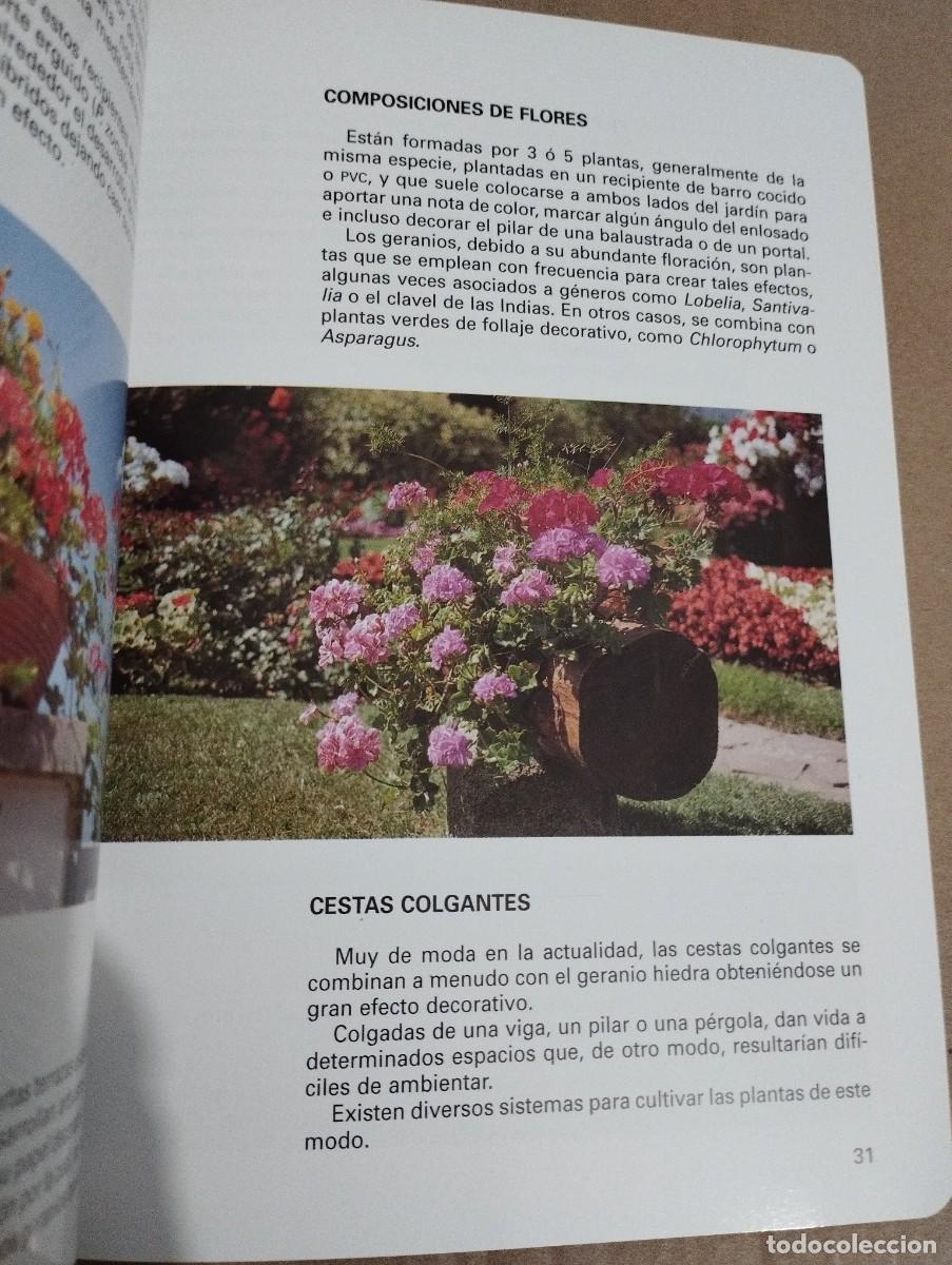 Libros de segunda mano: LOS GERANIOS (PIERRE NESSMANN) SUSAETA - Foto 8