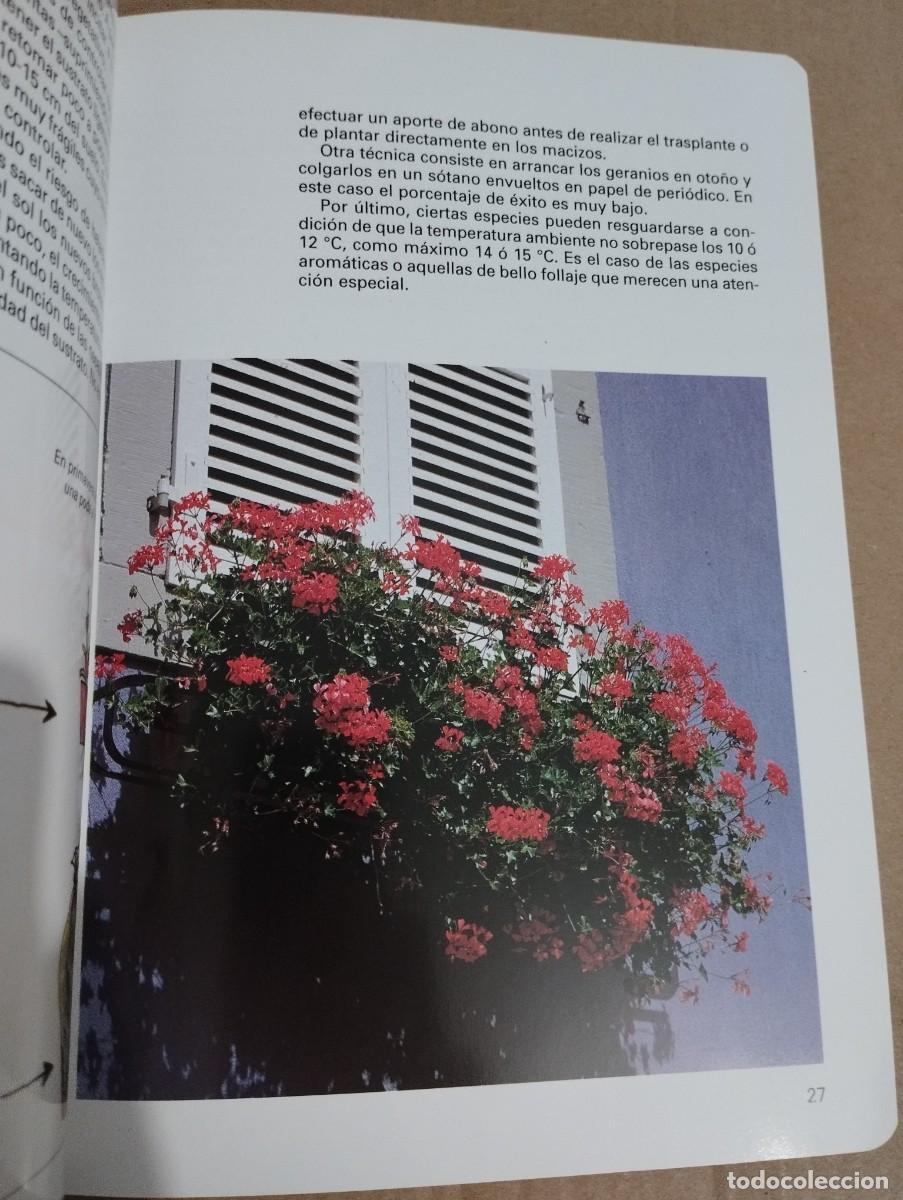 Libros de segunda mano: LOS GERANIOS (PIERRE NESSMANN) SUSAETA - Foto 9