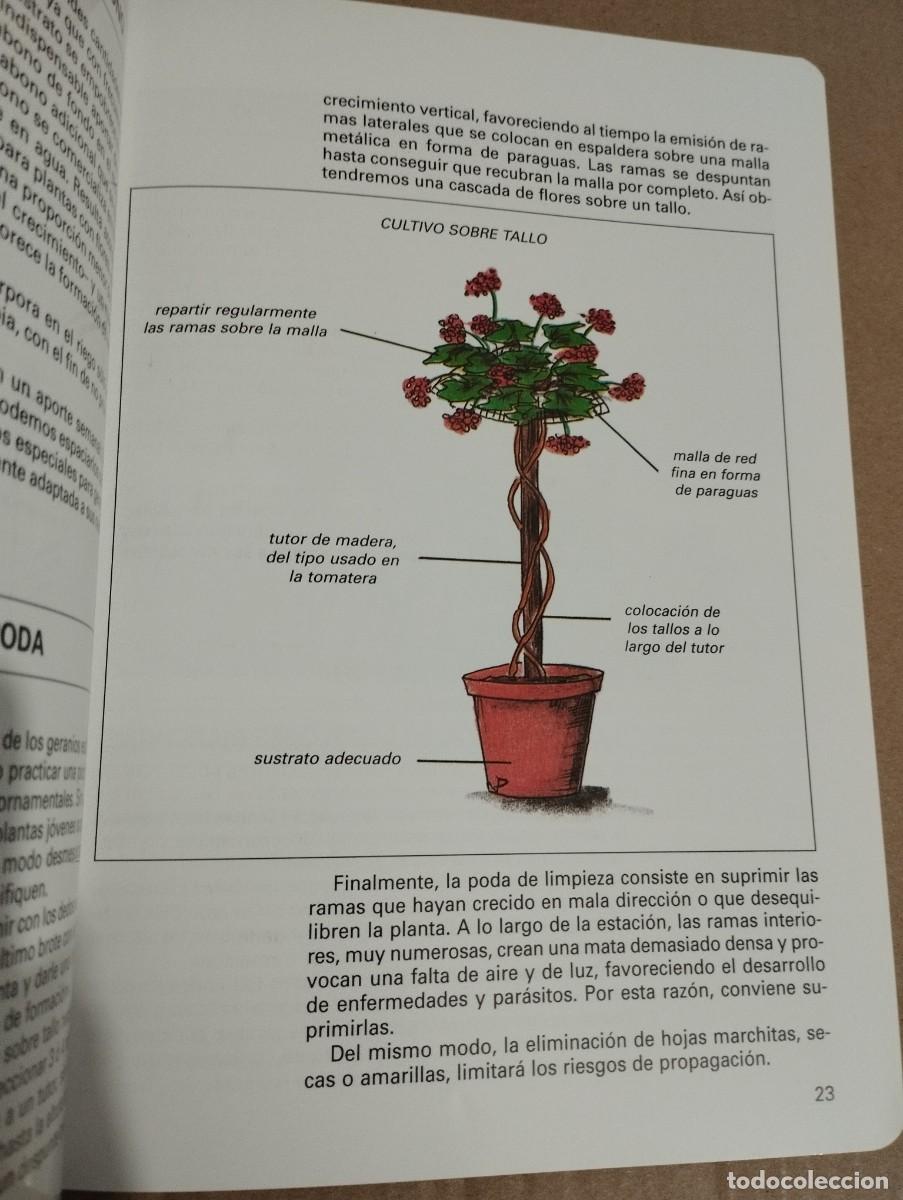 Libros de segunda mano: LOS GERANIOS (PIERRE NESSMANN) SUSAETA - Foto 10