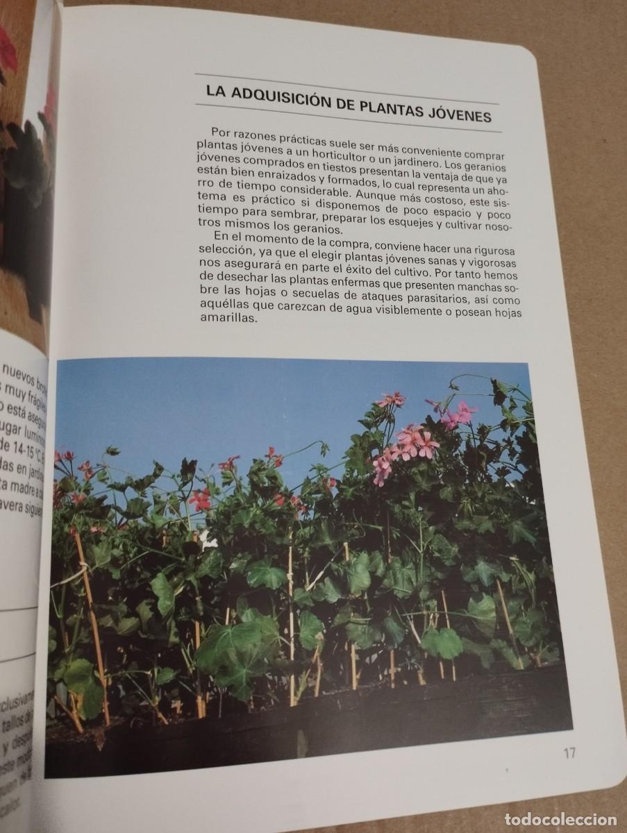 Libros de segunda mano: LOS GERANIOS (PIERRE NESSMANN) SUSAETA - Foto 11