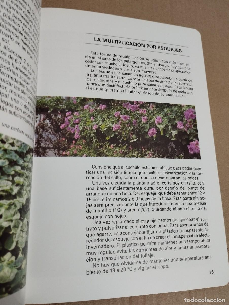 Libros de segunda mano: LOS GERANIOS (PIERRE NESSMANN) SUSAETA - Foto 12
