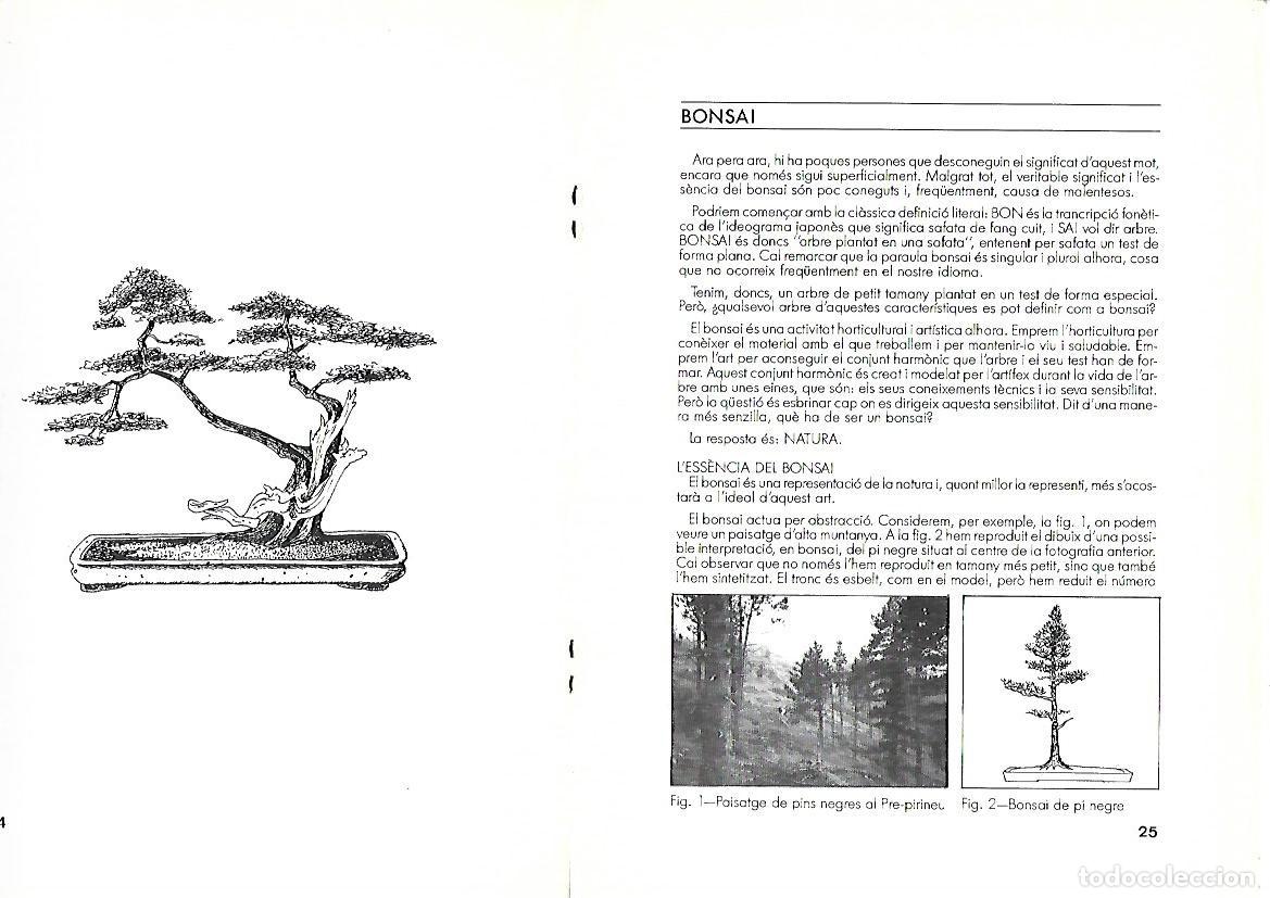 Libros de segunda mano: EXPOBONSAI 87 - CAT&Agrave;LEG - MUSEU MAR&Eacute;S- JUNY 1987 - Foto 2