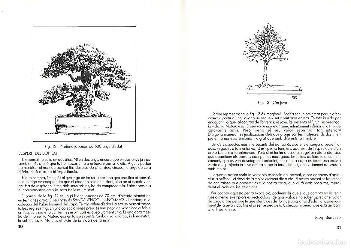 Libros de segunda mano: EXPOBONSAI 87 - CAT&Agrave;LEG - MUSEU MAR&Eacute;S- JUNY 1987 - Foto 3