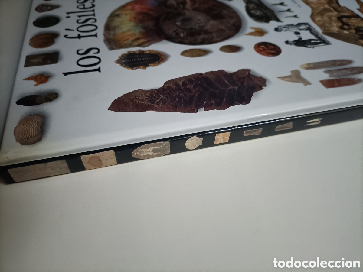 Libros de segunda mano: Los f&oacute;siles Paul D. Taylor - Foto 3