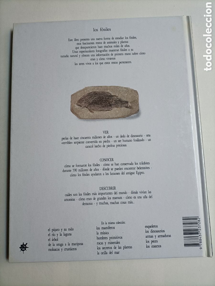 Libros de segunda mano: Los f&oacute;siles Paul D. Taylor - Foto 4