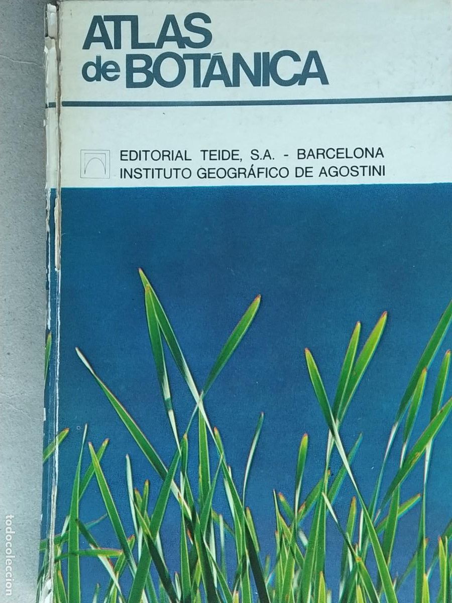 Libros de segunda mano: ATLAS DE BOTANICA, UBERTO TOSCO 1971. - Foto 1