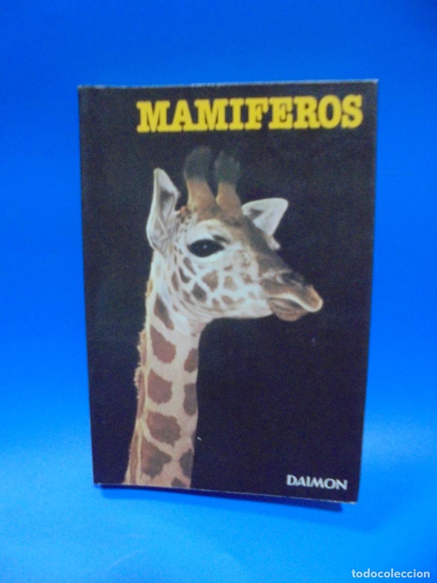 Libros de segunda mano: MAMIFEROS. MAURICE BURTON. DAIMON. 1978. PAGS : 230. - Foto 1