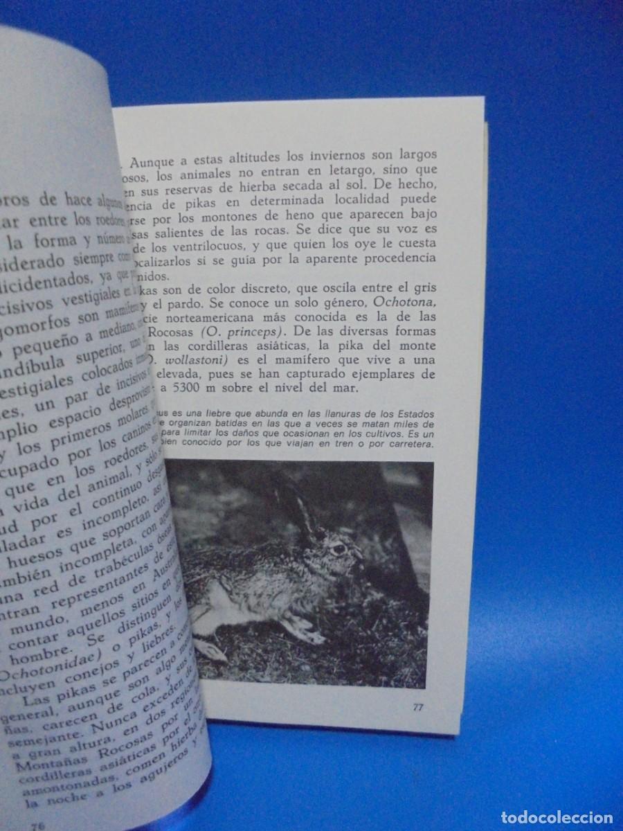 Libros de segunda mano: MAMIFEROS. MAURICE BURTON. DAIMON. 1978. PAGS : 230. - Foto 2