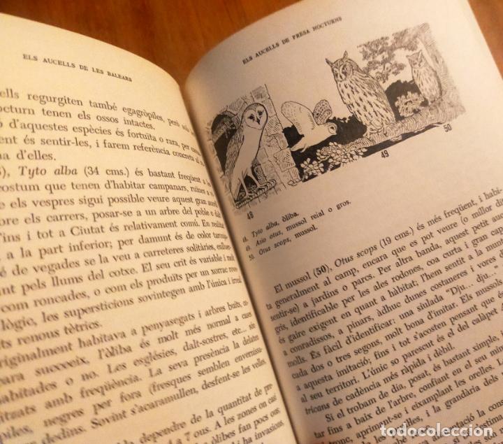 Libros de segunda mano: ELS AUCELLS DE LES BALEARS - JOAN MAYOL SERRA - Foto 2
