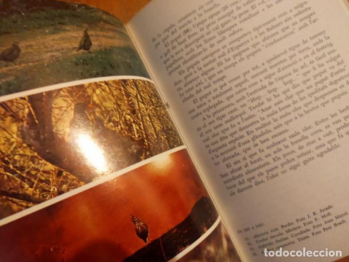 Libros de segunda mano: ELS AUCELLS DE LES BALEARS - JOAN MAYOL SERRA - Foto 3