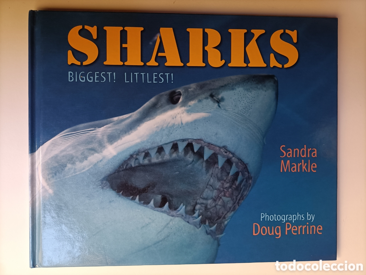Libros de segunda mano: Sharks .Biggest ! Littlest ! Sandra Markle . Libro en ingl&eacute;s tiburones - Foto 1