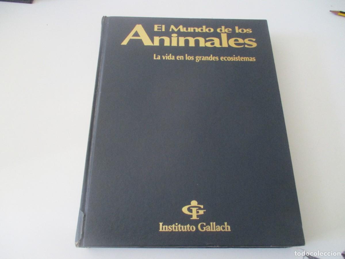 Libros de segunda mano: EL MUNDO DE LOS ANIMALES W17247 - Foto 1