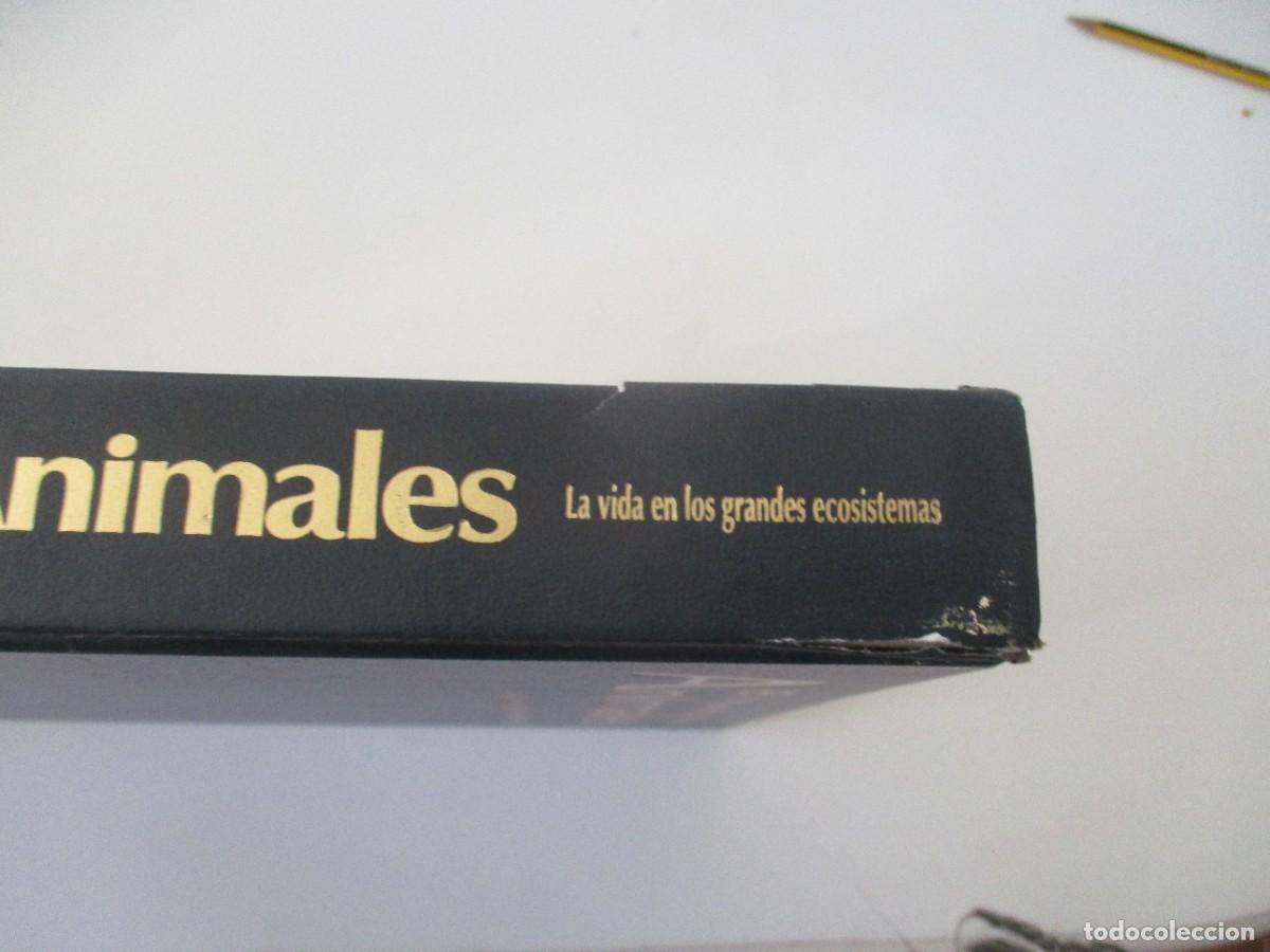 Libros de segunda mano: EL MUNDO DE LOS ANIMALES W17247 - Foto 2