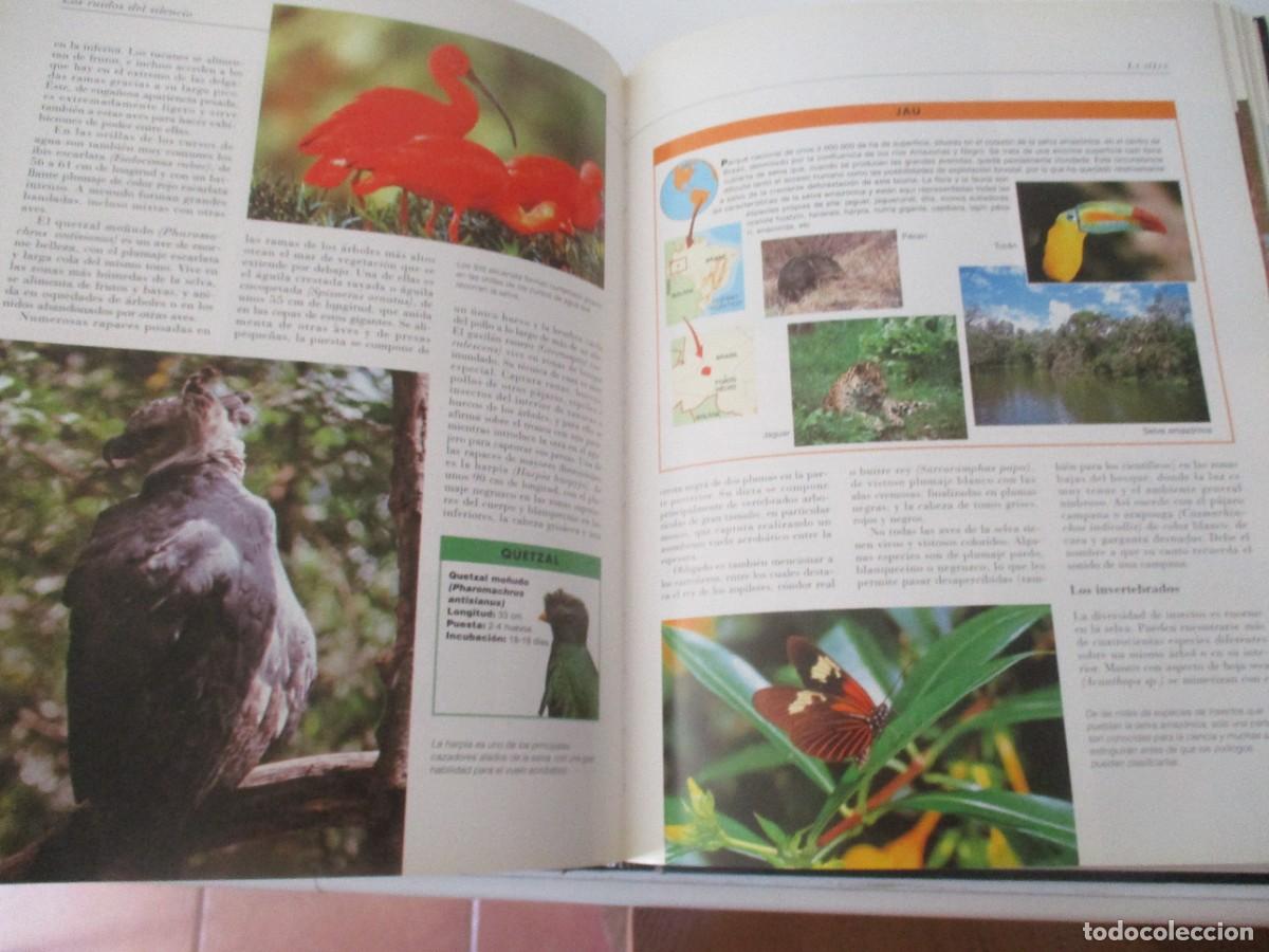 Libros de segunda mano: EL MUNDO DE LOS ANIMALES W17247 - Foto 3