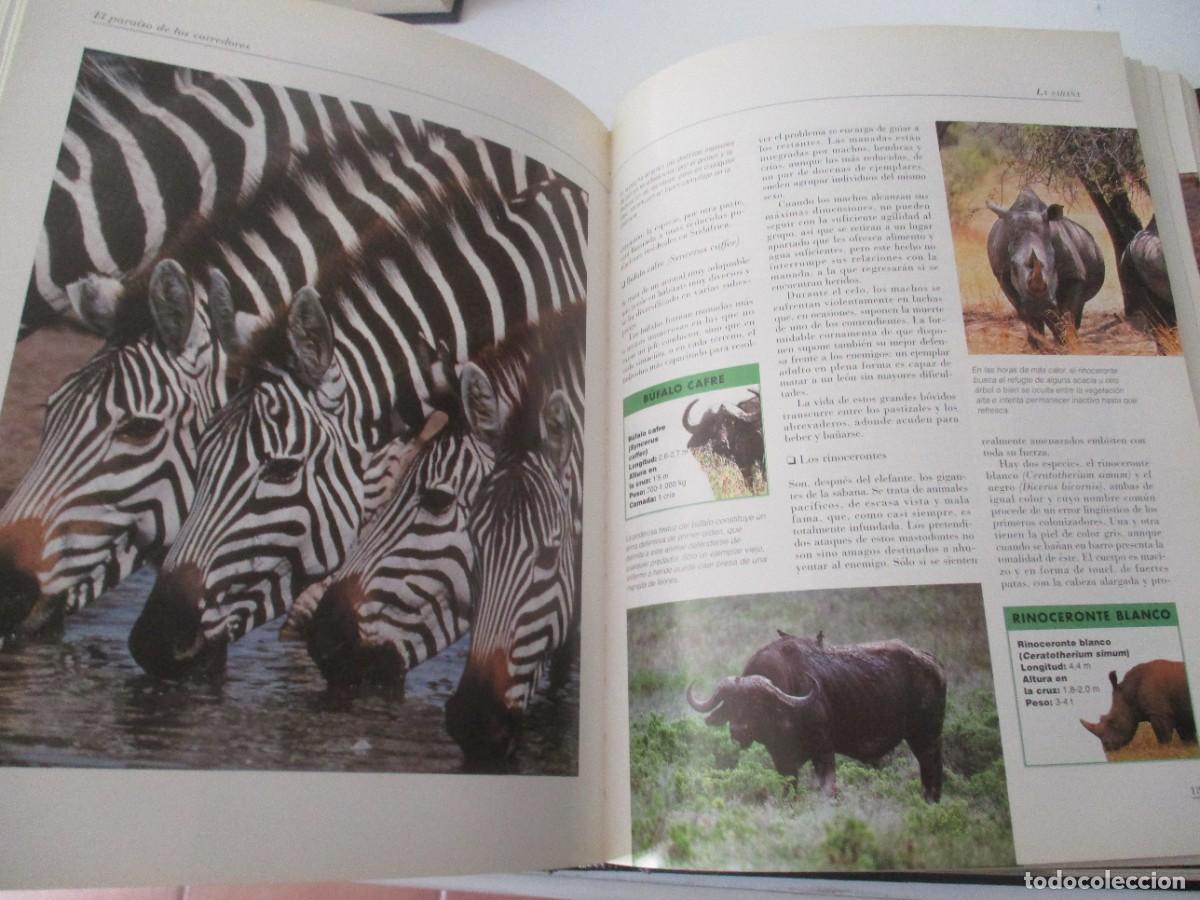 Libros de segunda mano: EL MUNDO DE LOS ANIMALES W17247 - Foto 4