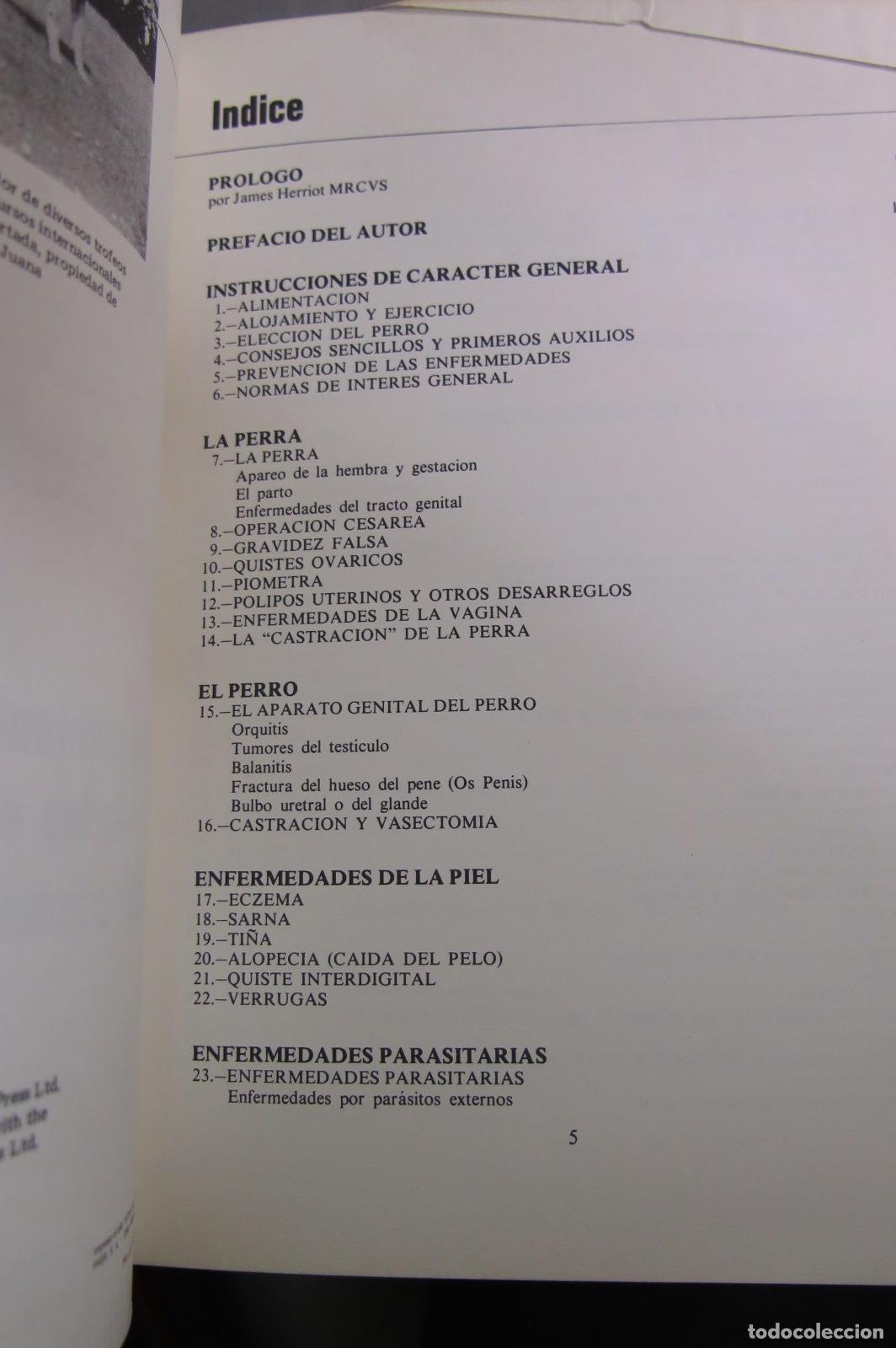 Libros de segunda mano: Todo sobre los perros - Foto 2