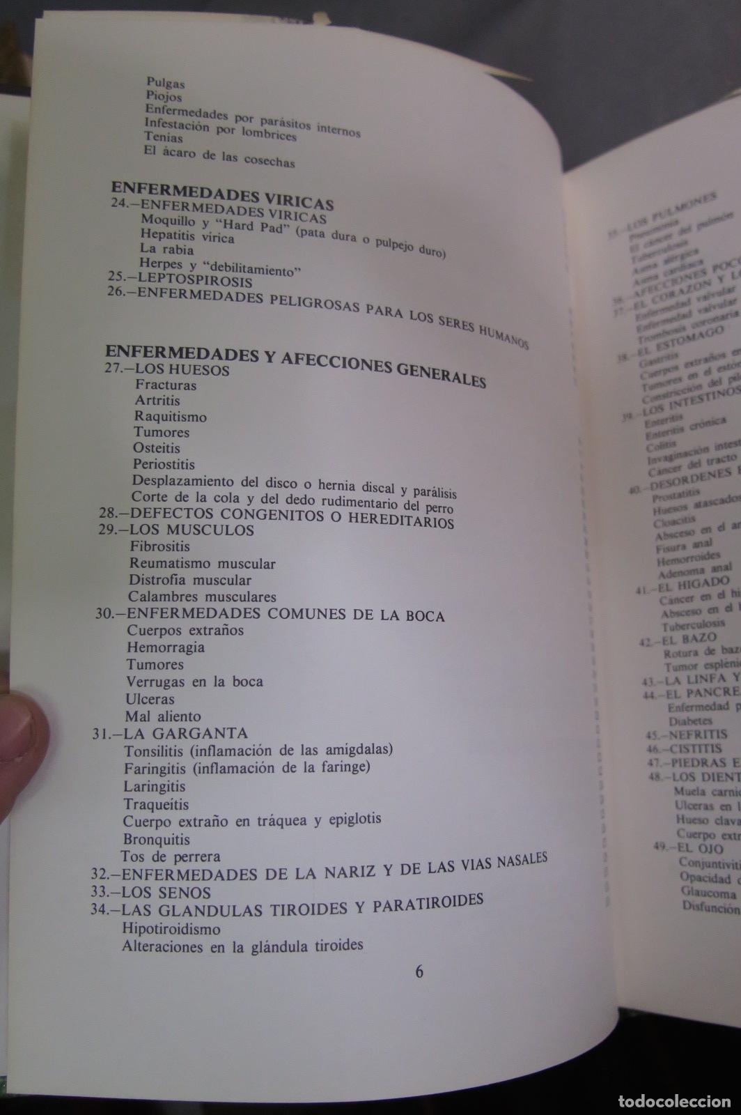 Libros de segunda mano: Todo sobre los perros - Foto 3
