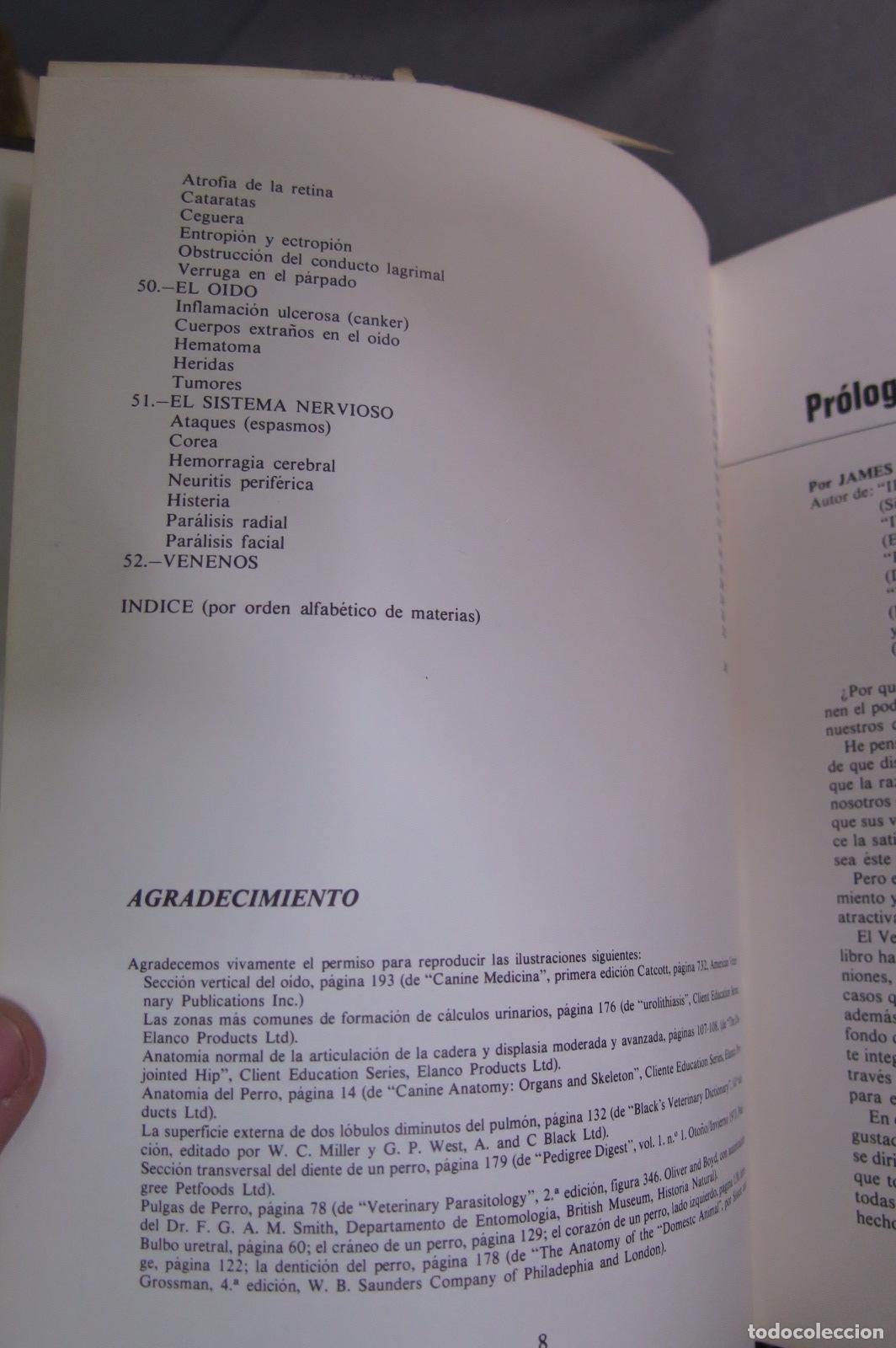 Libros de segunda mano: Todo sobre los perros - Foto 5
