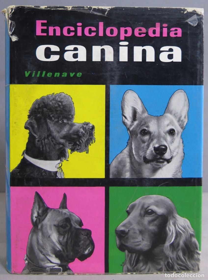 Libros de segunda mano: Enciclopedia canina. Villenave - Foto 1